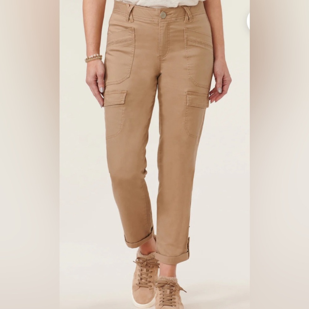 Democracy Cargo Pants
